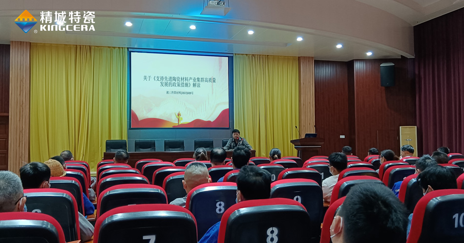 东升国际组织学习《支持先进陶瓷材料产业集群高质量发展的政策措施》