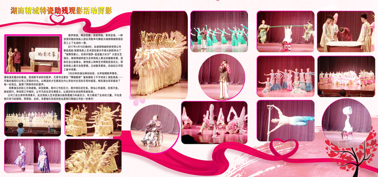 湖南东升国际赞助燕赵·恒爱残疾人艺术团圆满演出